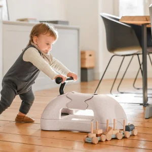 Trotteur My First Sable