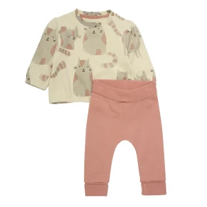 Ensemble Canyon Clay Avec Chats