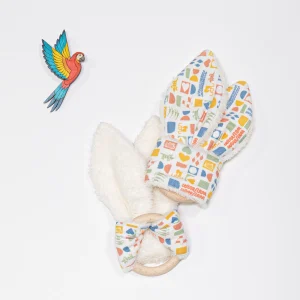 Anneau de dentition évolutif